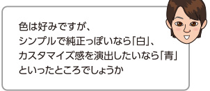 色は好みですが、シンプルで純正っぽいなら「白」、カスタマイズ感を演出したいなら「青」
	といったところでしょうか