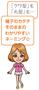 「クワ型」も「丸型」も…端子のカタチそのままのわかりやすいネーミング☆