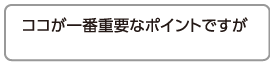 ココが一番重要なポイントですが