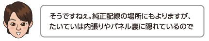 そうですねぇ。純正配線の場所にもよりますが、たいていは内張りやパネル裏に隠れているので