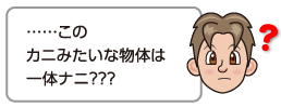 ……このカニみたいな物体は一体ナニ？？？