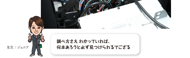 調べ方が分かってさえいれば何本あろうと必ず見つけられるでござる