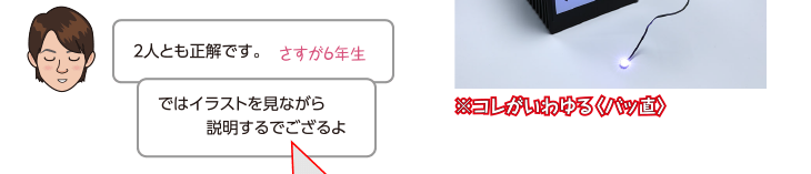 コレがいわゆる「バッ直」