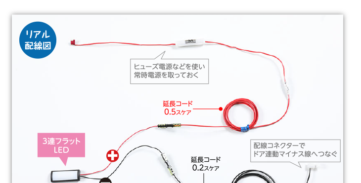 リアル配線図