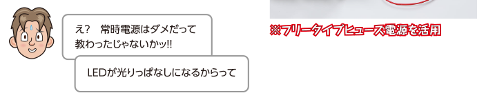 ※フリータイプヒューズ電源を活用