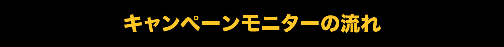 キャンペーンモニターの流れ