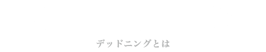 Deadening｜デッドニングとは
