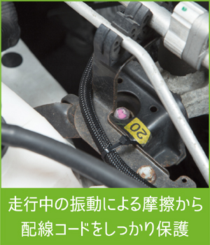 2952　特長